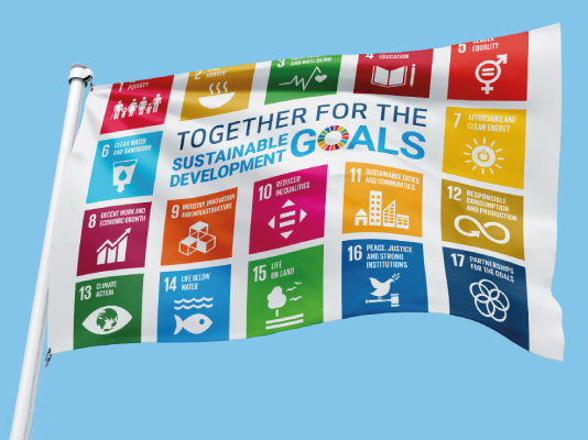 SDG Flag Article image - all 14 formats